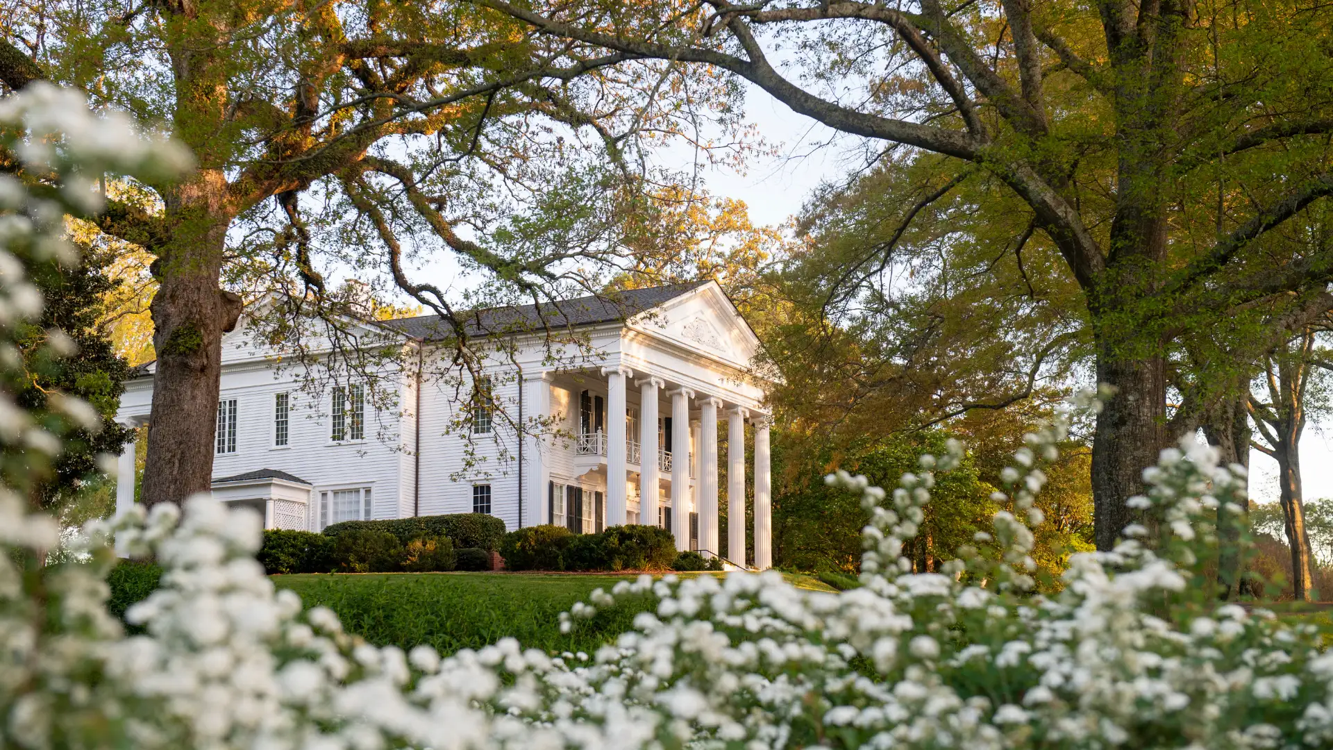 Oak Hill, the historic Berry family home, framed by oak trees and spring blooms at golden hour